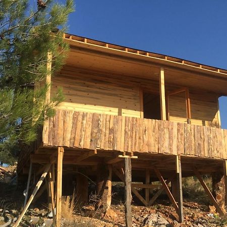 Ida Bay Bungalows Edremit  Zewnętrze zdjęcie