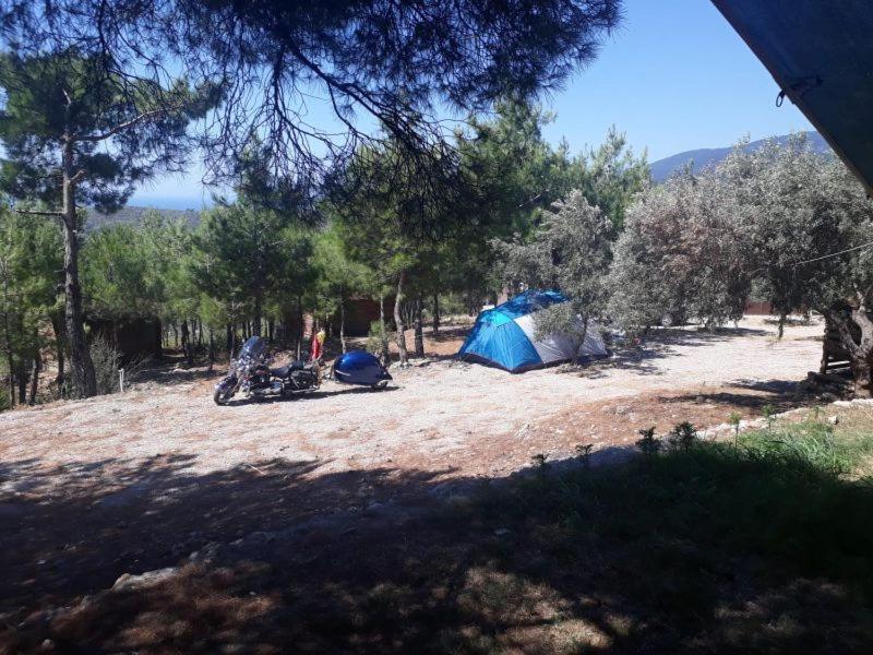 Ida Bay Bungalows Edremit  Zewnętrze zdjęcie