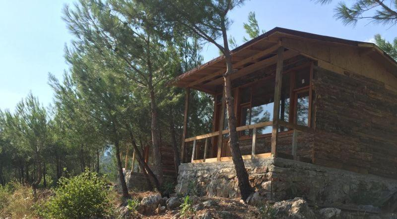 Ida Bay Bungalows Edremit  Zewnętrze zdjęcie
