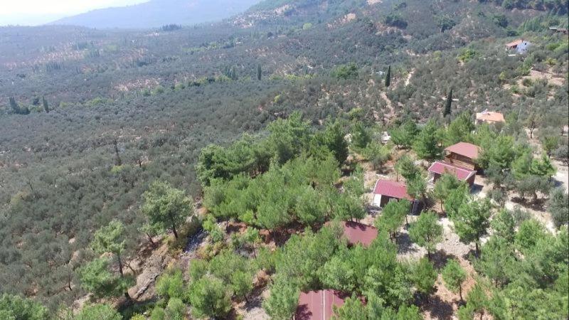 Ida Bay Bungalows Edremit  Zewnętrze zdjęcie